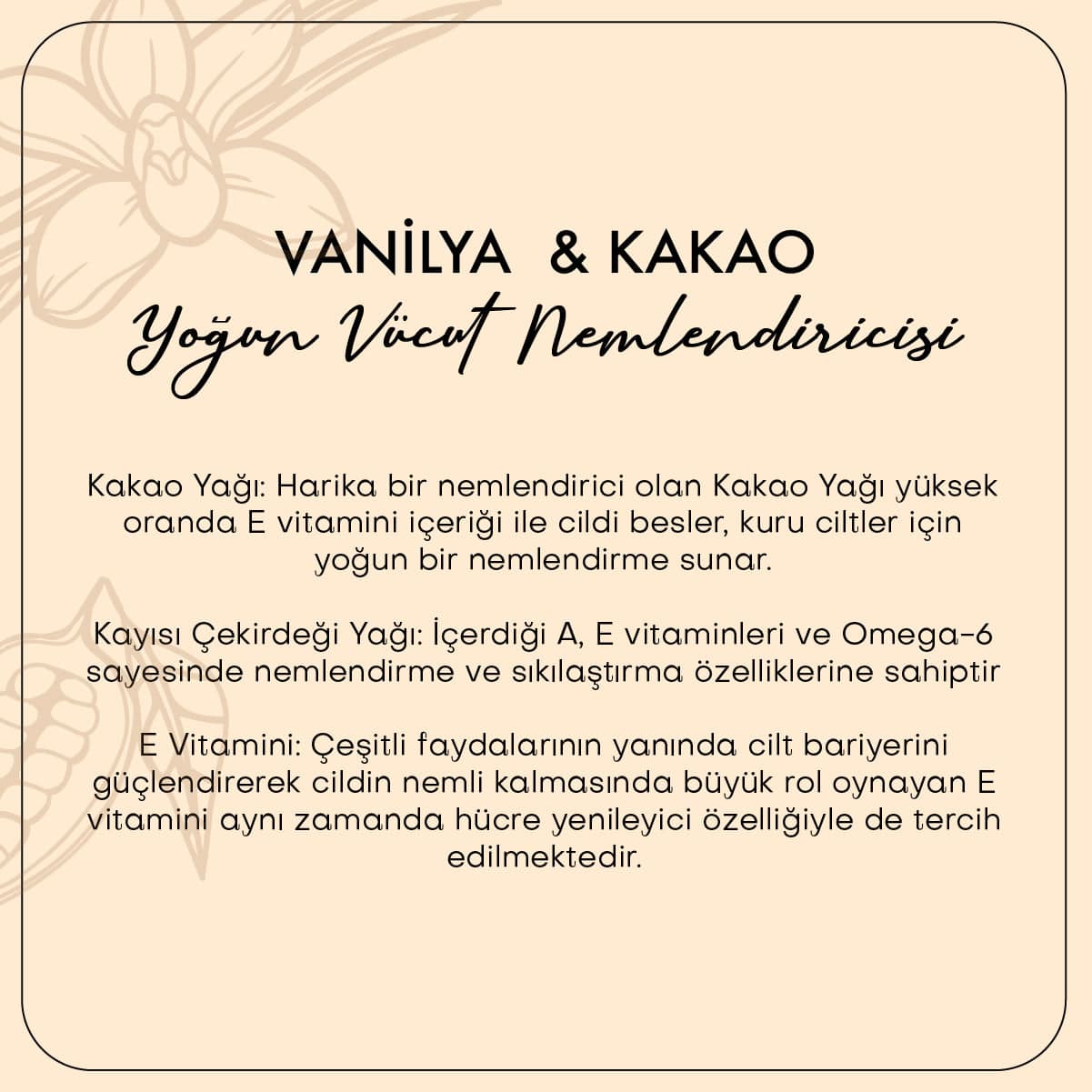 Vanilya & Kakao Body Butter / Yoğun Vücut Nemlendiricisi (100 ml)
