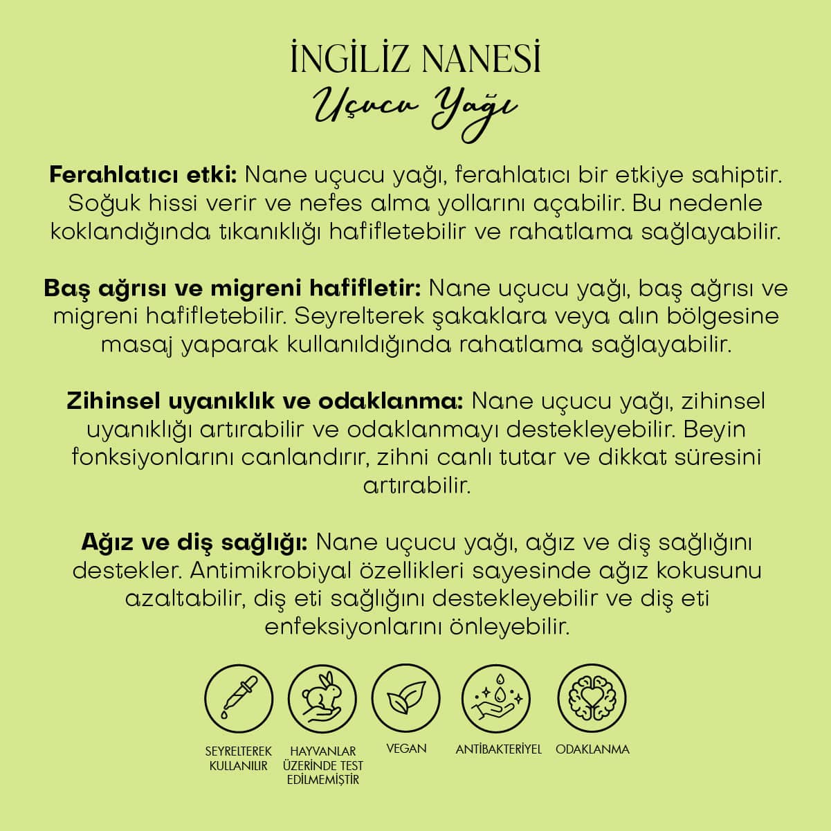 Nane Uçucu Yağı & Nane Suyu - %100 Saf Seri