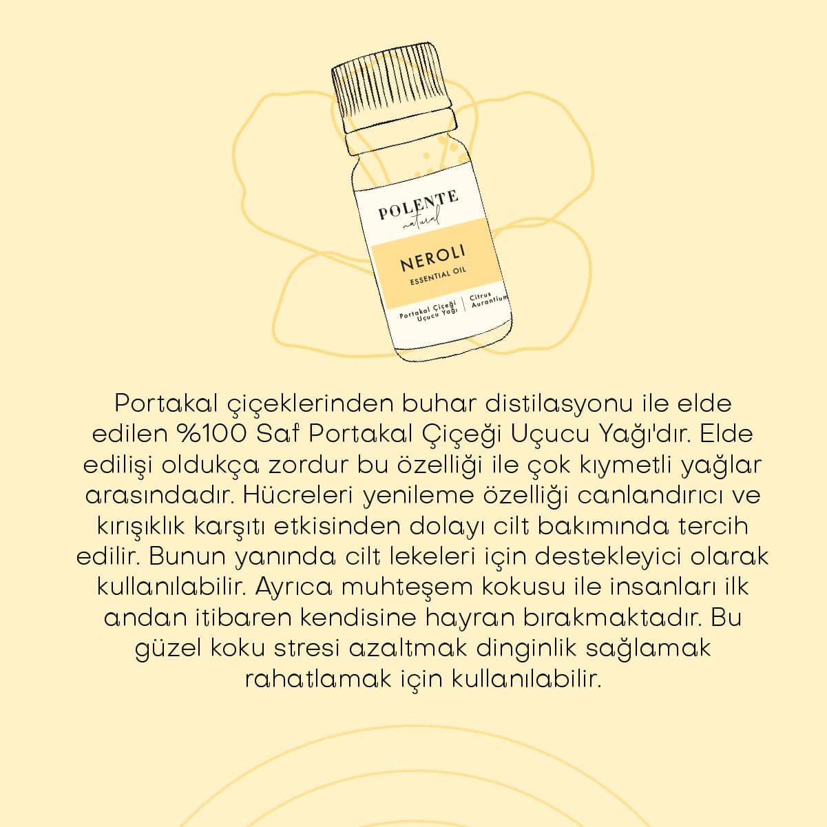 Portakal Çiçeği (Neroli) Uçucu Yağı (5 ml)