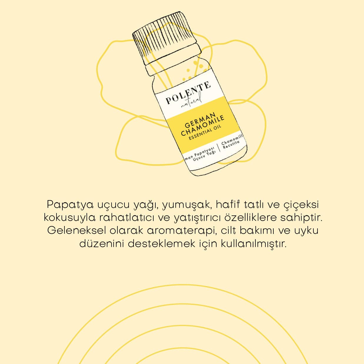 Papatya Uçucu Yağı (5 ml)