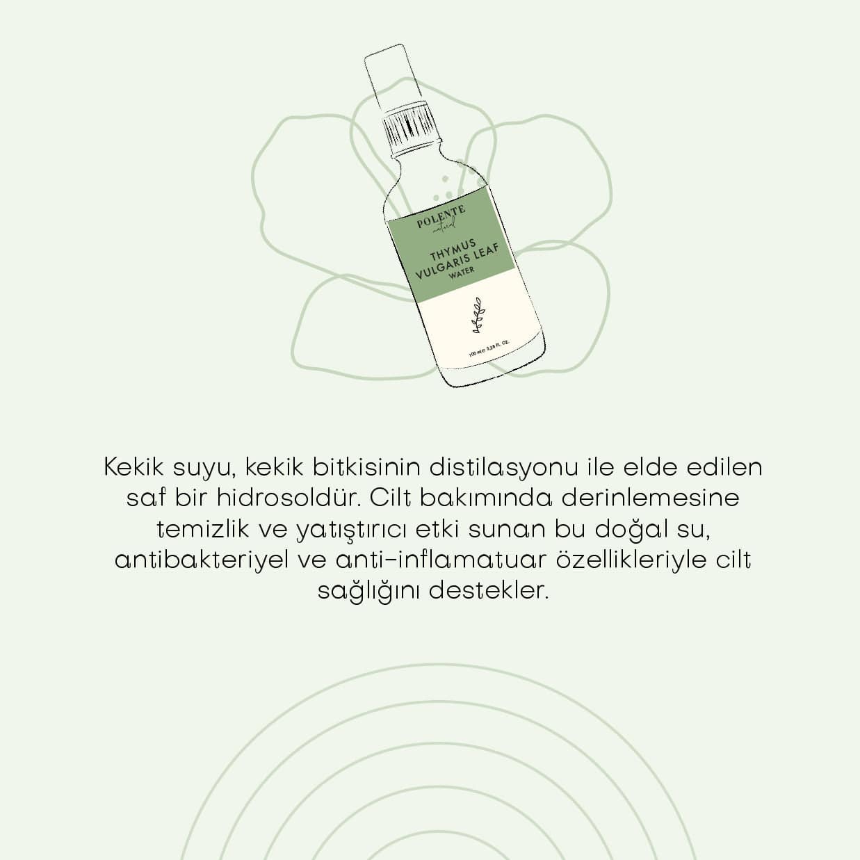 Kekik Suyu - %100 Saf Hidrosol (100 ml)