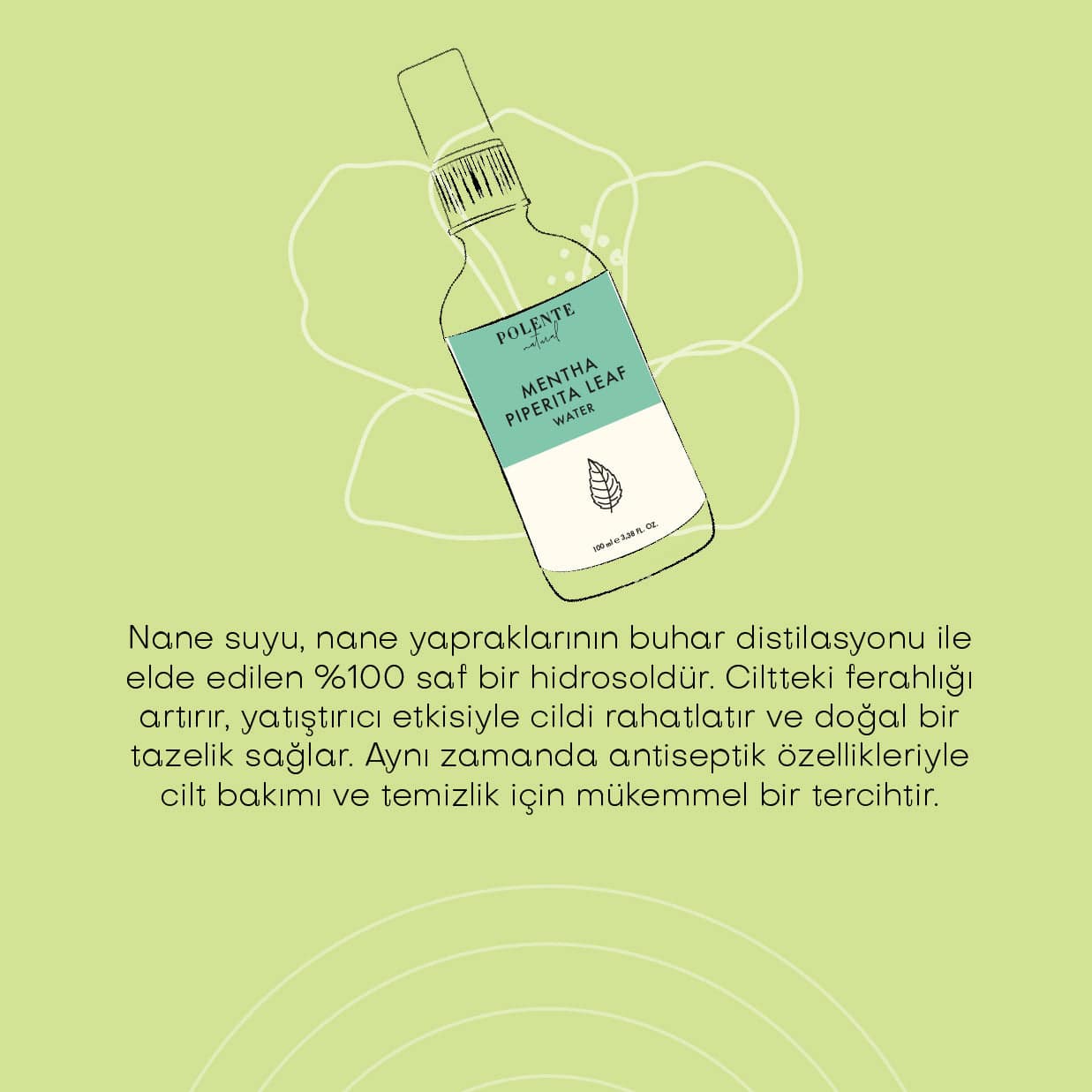 Nane Suyu - %100 Saf Hidrosol (100 ml)