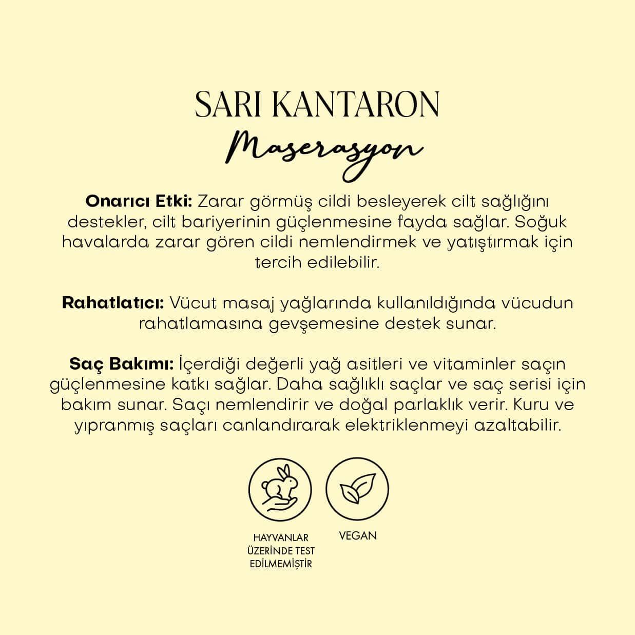 Sarı Kantaron Yağı - Aspir Maserasyon (50 ml)