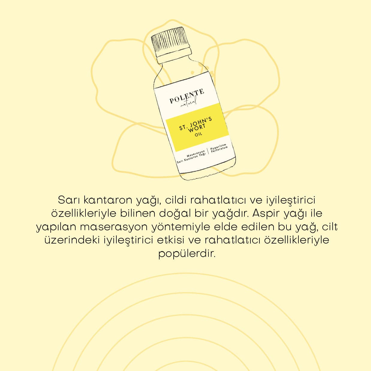 Sarı Kantaron Yağı - Aspir Maserasyon (50 ml)
