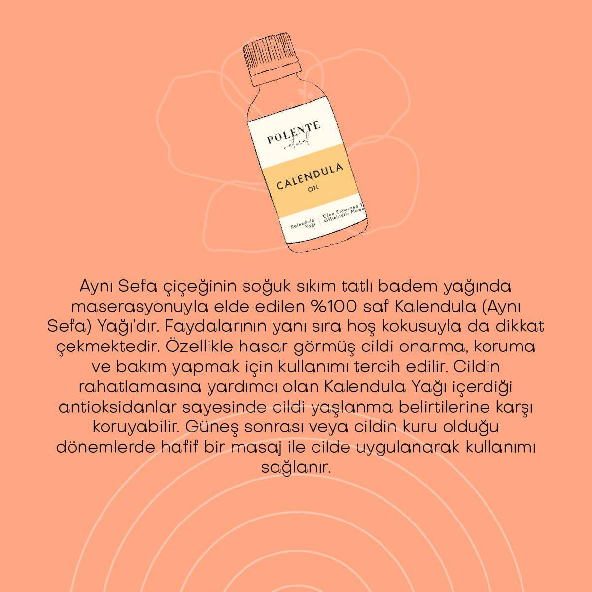 Kalendula Yağı - Aynı Sefa Yağı (50 ml)