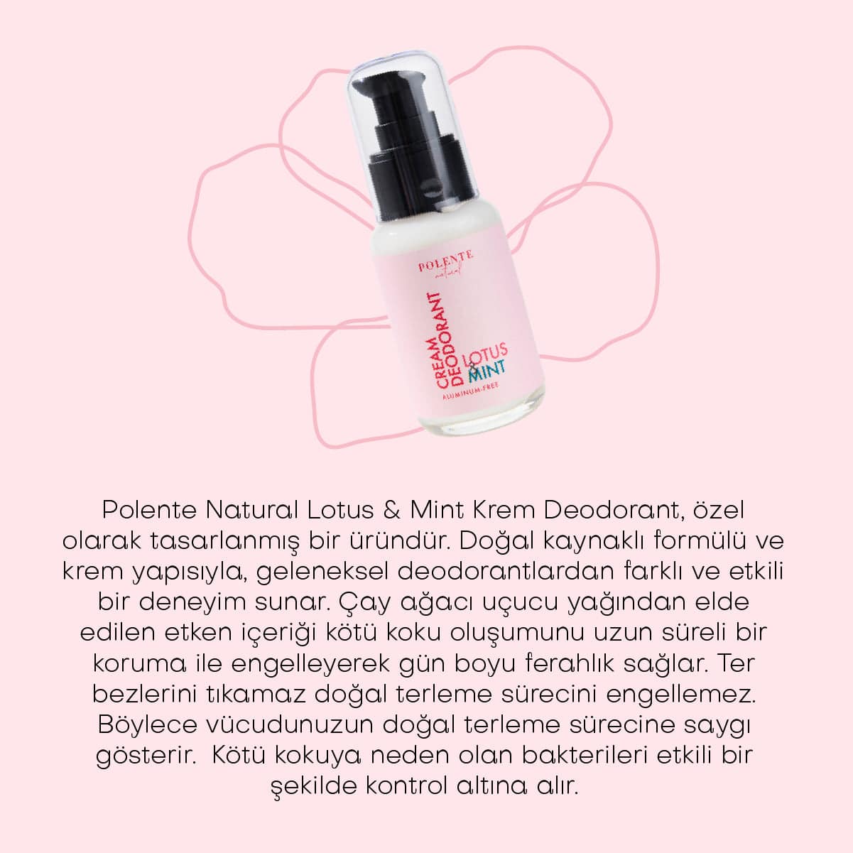 Lotus & Mint Krem Deodorant (50 ml)