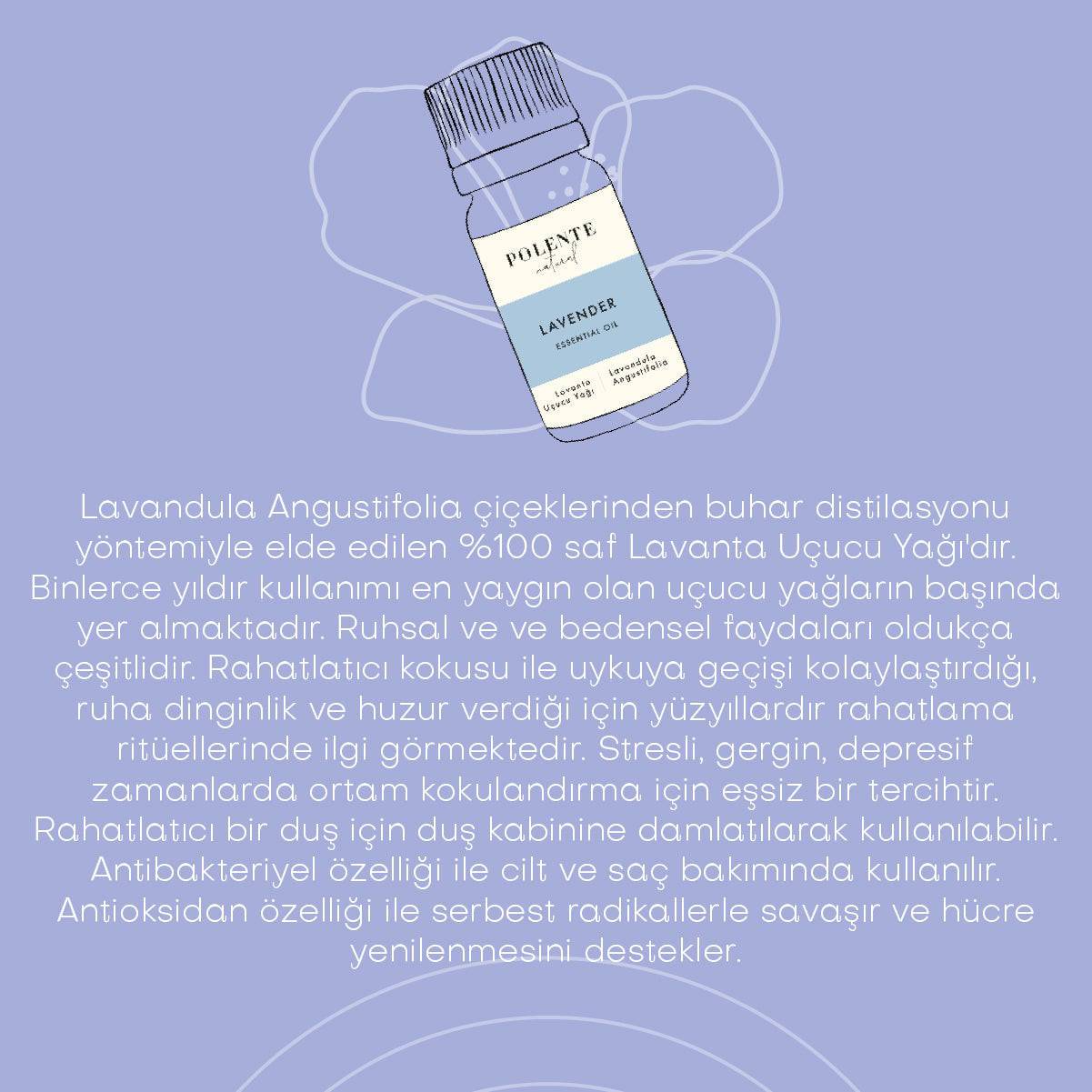 Lavanta Uçucu Yağı (10 ml)