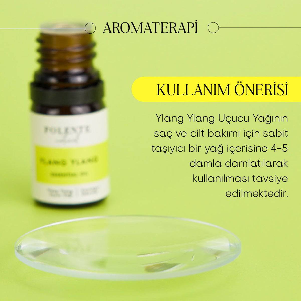 Tarçın & Vanilya Enerji Verici Masaj Yağı (100 ml)