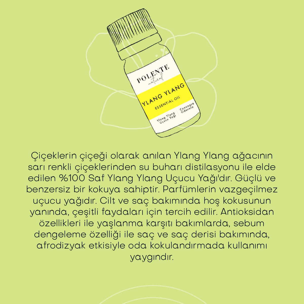 Tarçın & Vanilya Enerji Verici Masaj Yağı (100 ml)