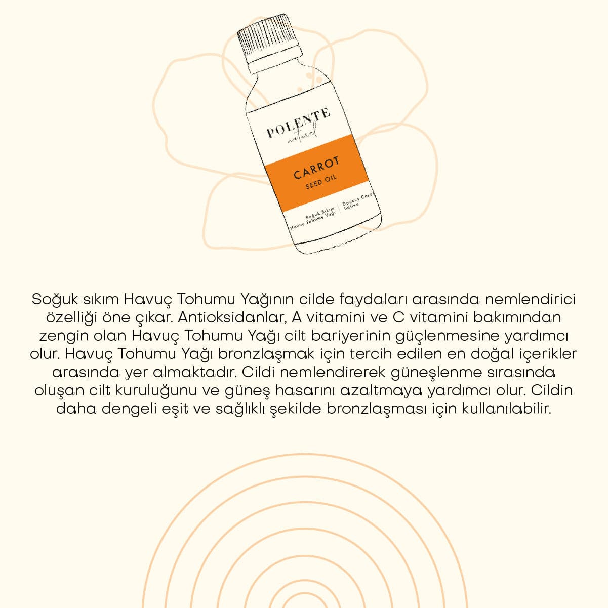 Havuç Tohumu Yağı - Soğuk Sıkım (30 ml)