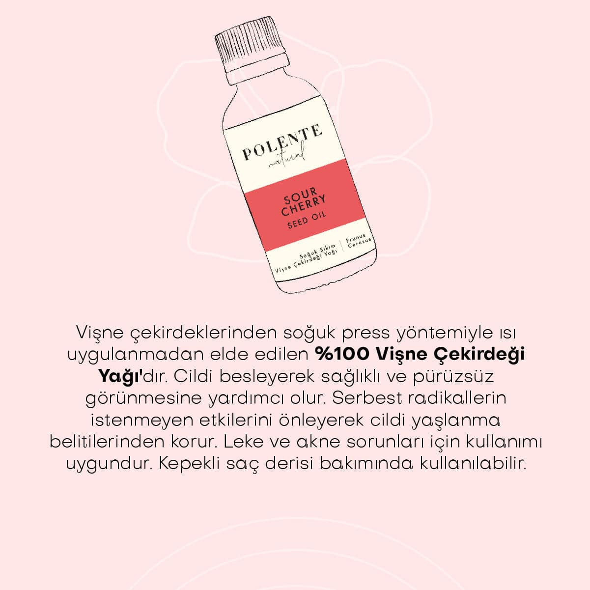 Vişne Çekirdeği Yağı - Soğuk Sıkım (30 ml)