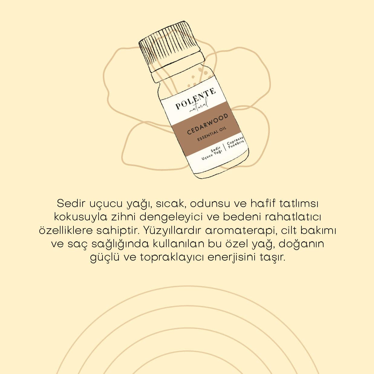 Sedir Uçucu Yağı (5 ml)
